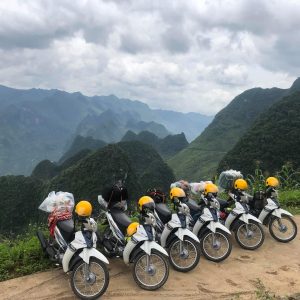 116154421 1753912151413218 8266765846816823447 O